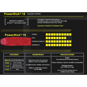 Ashaway PowerNick 18 squashstreng